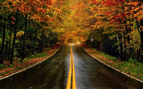 Discovering the Serenity of American Fall Foliage Road Trips